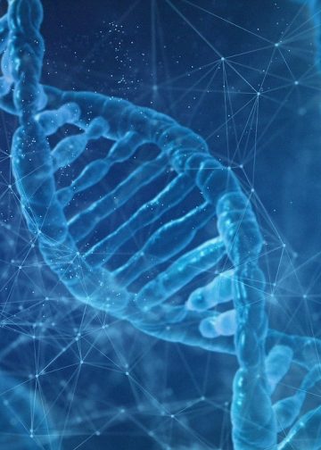 MOLECULES RELATED WITH IMMORTALITY AND MAY HELP WITH FINDING BIOLOGICAL IMMORTALITY AND RESEARCHES